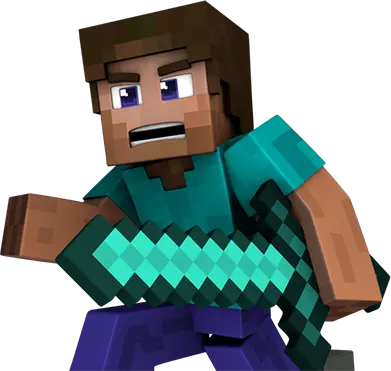 Steve Minecraft, Hébergement, Serveur de jeu, Protection Anti-DDoS